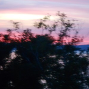 Untitled Design - 2021-07-02T155845.377